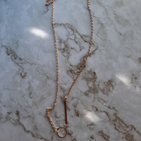 Gold or Silver Circle Pendant Necklace - Picture 5 of 7